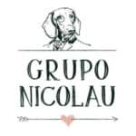 Grupo Nicolau logo